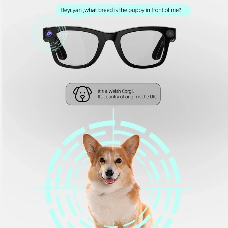 Smart AI Bluetooth Glasses