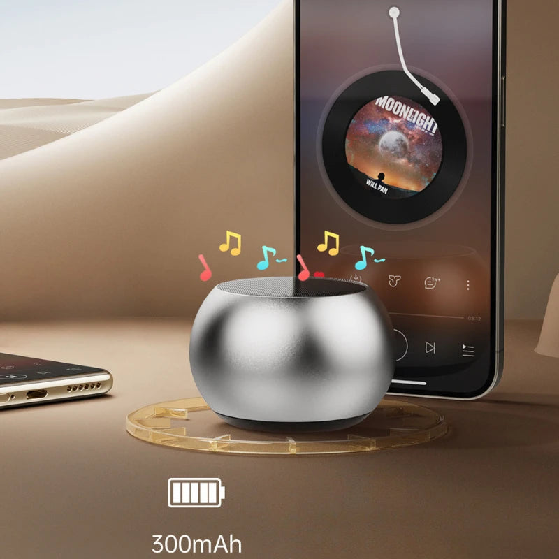 Wireless Mini Speaker