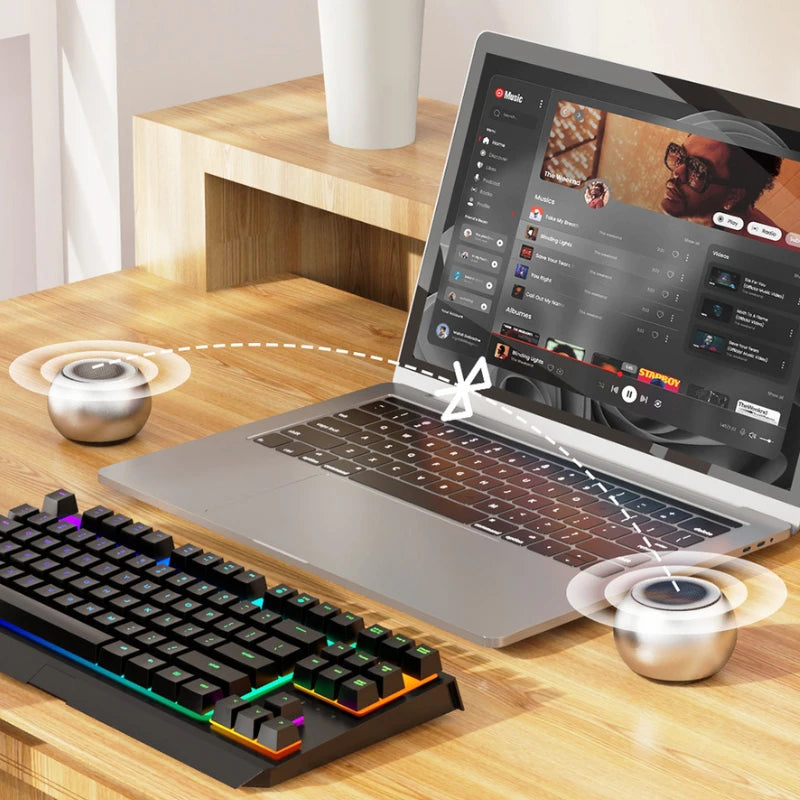 Wireless Mini Speaker